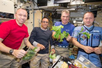 2.	Flera astronauter med sallad i händerna