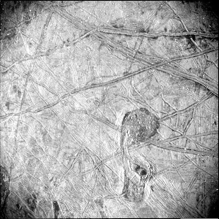 Europa Juno