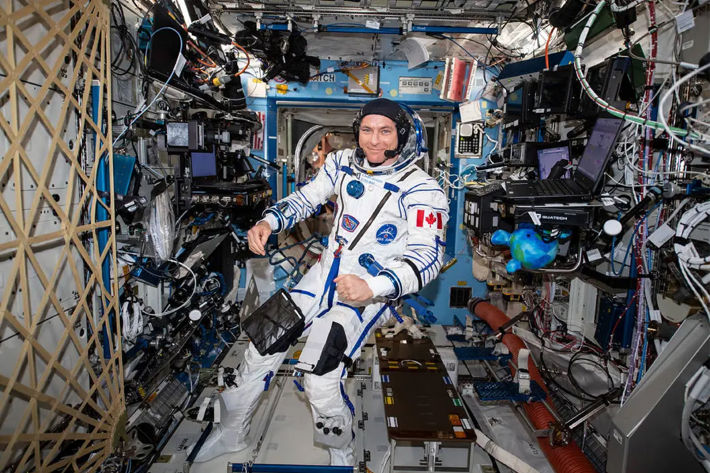 Sokol launch entry suite